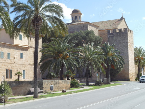 Palm trees and fortification tower of the city walls of Alcudia, Mallorca, Balearic Islands, Spain