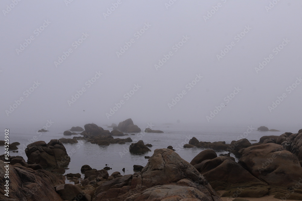 Sea fog on the rocks
