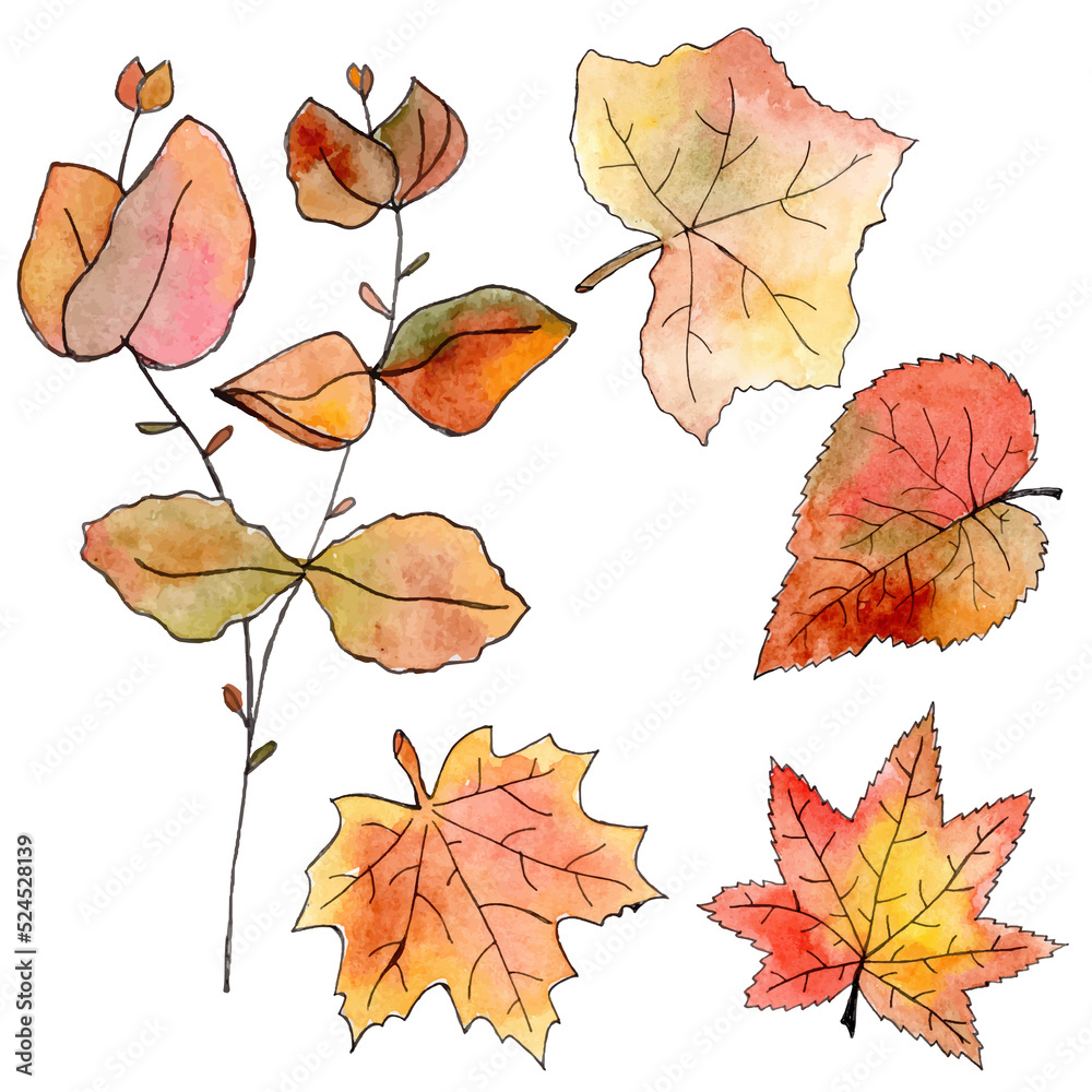 Obraz premium Hand drawn autumn leaves. Watercolor and liner