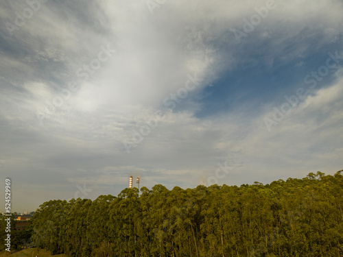 Foto aérea, de floresta de reflorestamento, com eucaliptus voltado para a fabricação de papel e celulose, em Limeira, São Paulo, Brasil photo