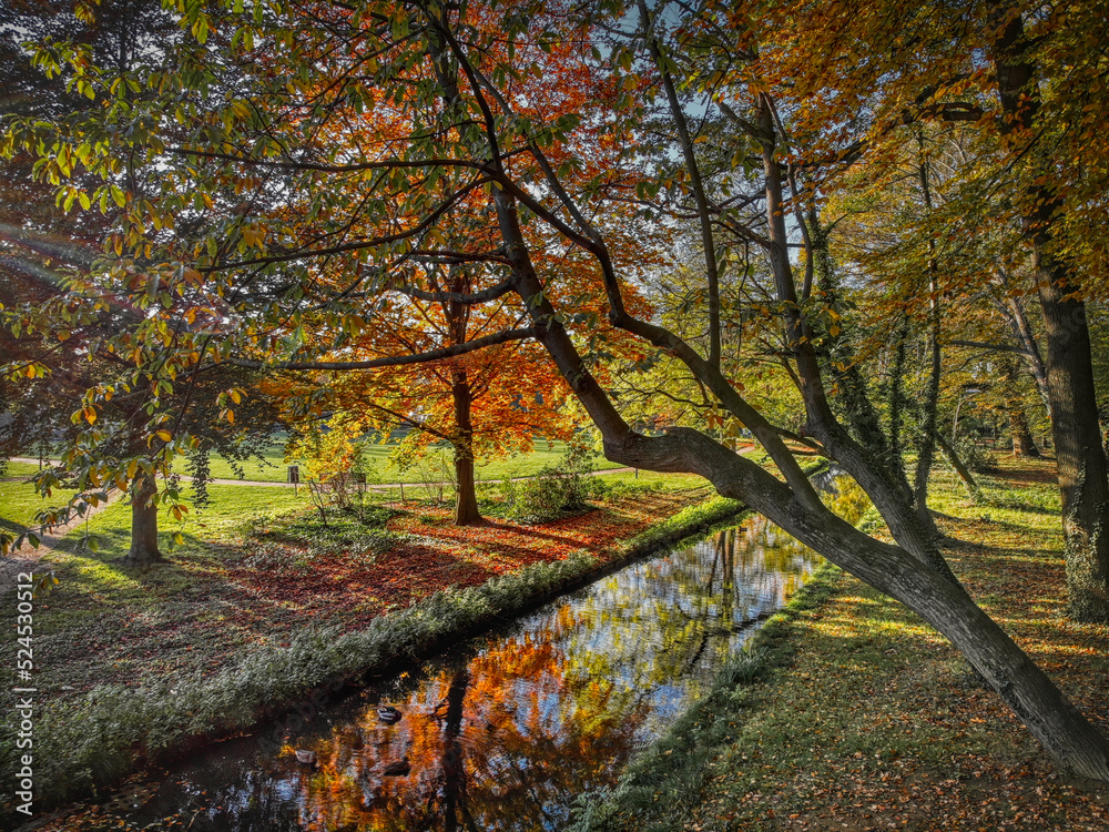 Zdjęcie z drona.Park jesienią