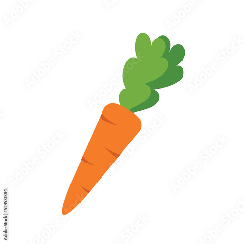Colorful cartoon carrot icon. Harvesting. Horticulture. Autumn harvest of vegetables