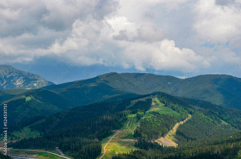 Summer landscape in the mountains