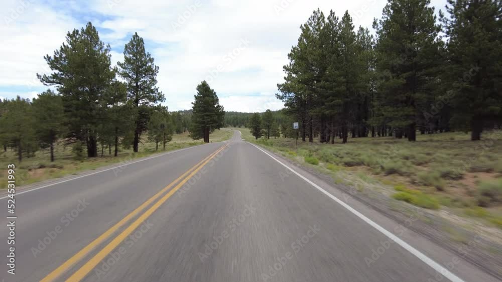 Driving Plate Bryce Canyon Scenic Drive Northbound Multicam Set 27 Front View Forest Utah Southwest USA Driving Plate Bryce Canyon Scenic Drive Northbound Multicam Set 27 Front View Forest Utah Southwest USA