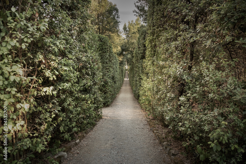 Perspective of Boboli garden in Florece, Italy Perspective of Boboli garden in Florece, Italy