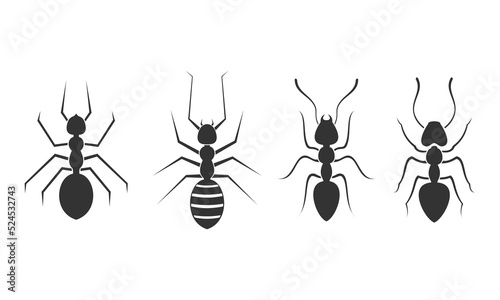Ants set illustration vector design