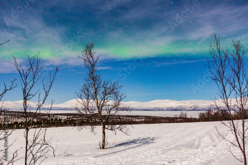 Aurora boreale in Lapponia ad Abisko.Luci nel cielo nella fredda notte polare