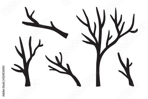 Branches hand drawn set. Branch Ink illustration. Design element.