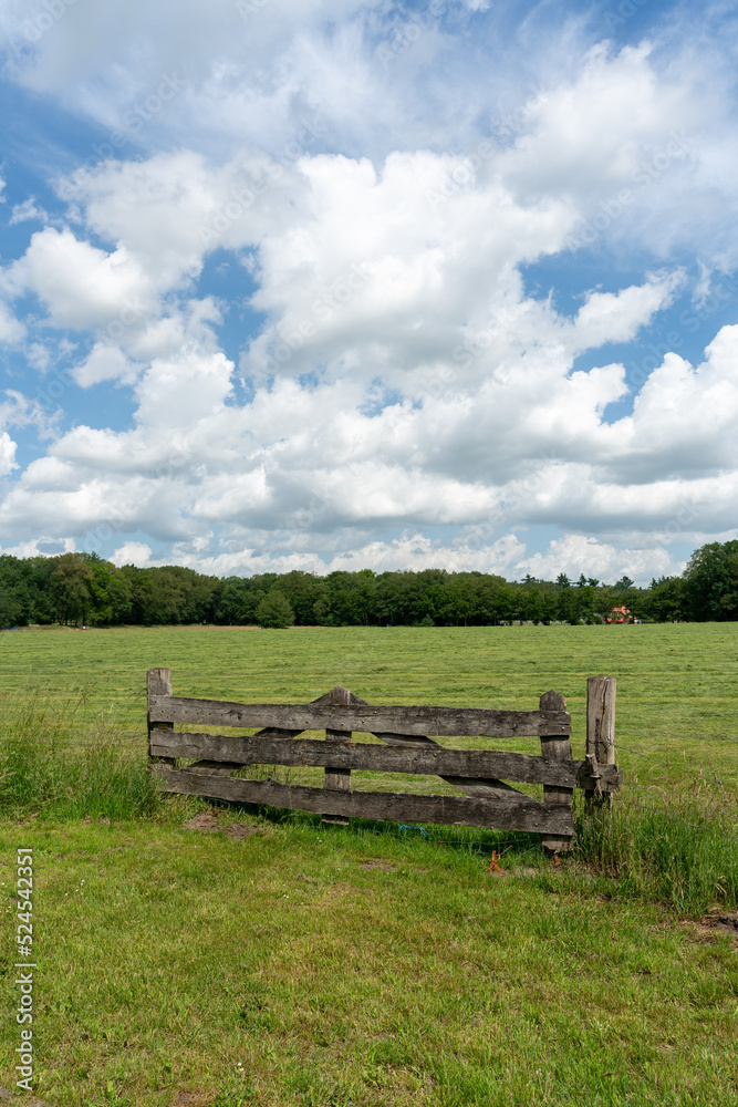 Field on estate of Kasteel de Haere in The Netherlands.