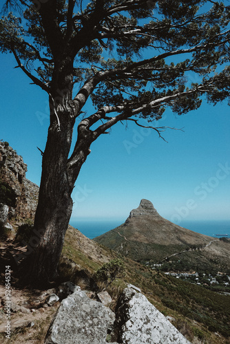 lions head view
