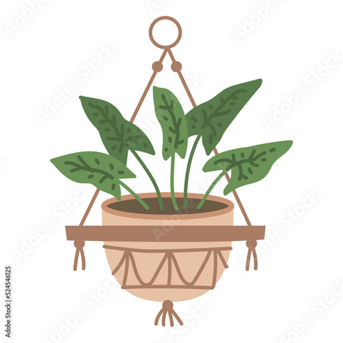 Plant in hanging pot. Houseplant hang on rope, decorative indoor plant, macrame flower pot, home potted plant vector illustration icon. Flower in pot on stand. Home jungle