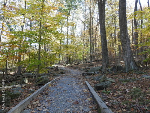 Visitors enjoy hiking the trails in the Catoctin Mountain Wilderness, during the autumn season, to  experience the beauty of the fall foliage, within Cunningham Falls State Park, Frederick, Maryland. photo