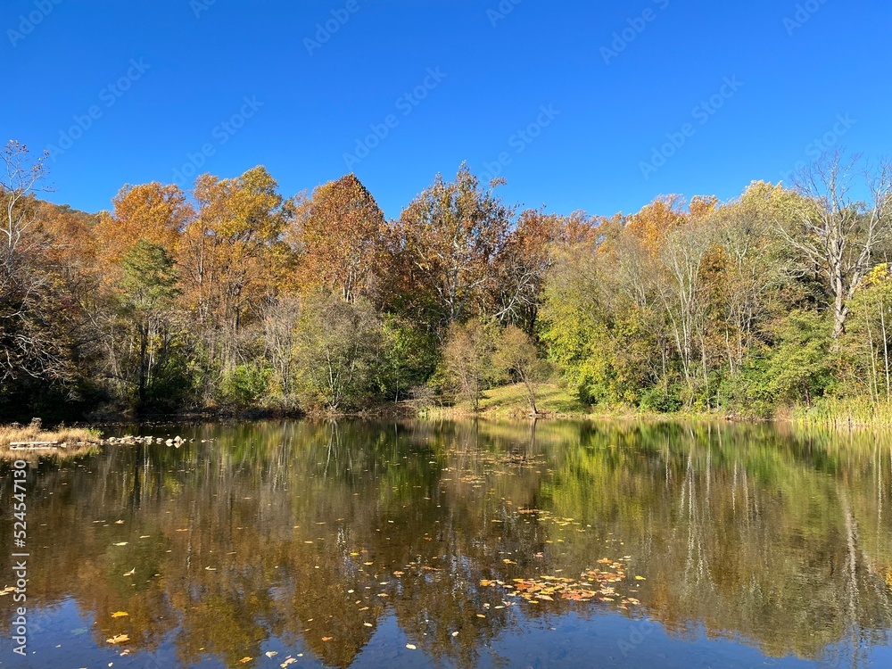 The tranquil beauty of the Frank Bentz Pond in Thurmont, Frederick County, Maryland, during the autumn season. The tranquil beauty of the Frank Bentz Pond in Thurmont, Frederick County, Maryland, during the autumn season.