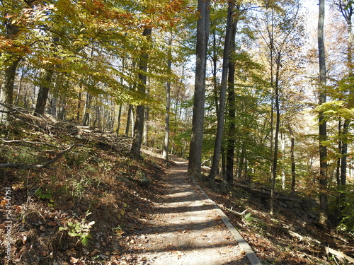Visitors enjoy hiking the trails in the Catoctin Mountain Wilderness, during the autumn season, to experience the beauty of the fall foliage, within Cunningham Falls State Park, Frederick, Maryland.