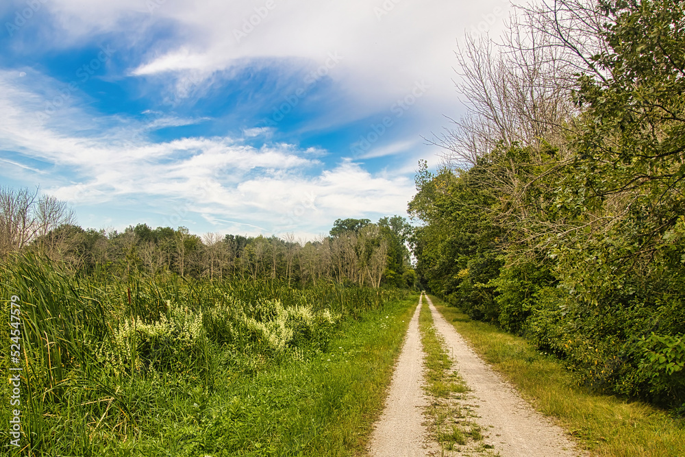 Dirt recreational trail passing through lush green Wisconsin landscape on a summer day. Dirt recreational trail passing through lush green Wisconsin landscape on a summer day.