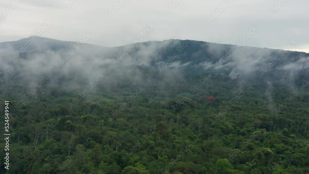 4k Aerial shot for amazon river and the rain forest in brazil rainforest. shot on MAVIC 2 PRO hasselblad rendered prores 422HQ REC709 4k Aerial shot for amazon river and the rain forest in brazil rainforest. shot on MAVIC 2 PRO hasselblad rendered prores 422HQ REC709