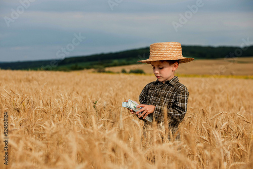 Little boy is holding dollars among a field of ripe ears of corn. Profit from agriculture during harvesting season in the summer