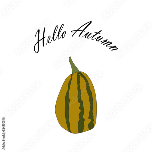 green pumpkin illustration, lettering hello autumn. autumn harvest illustration