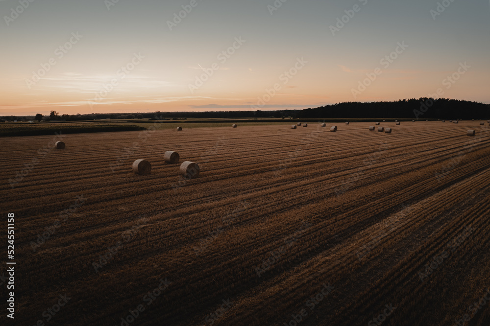 Obraz premium The straw lying in the harvest field, sunset in the background