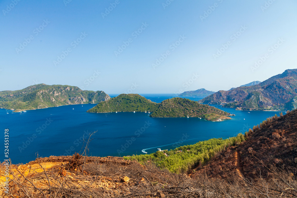 Marmaris, Turkey – The sawed pine tree and sea view from the hill. Trees burned in devastating forest fires in the resort town of Marmaris in Turkey. 