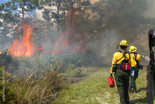 Florida fire crew watching flames ignite among palmettos and pines © TS Images