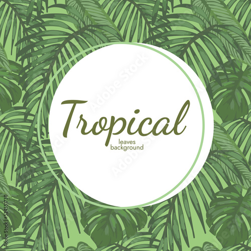 beautiful tropical background vector design 