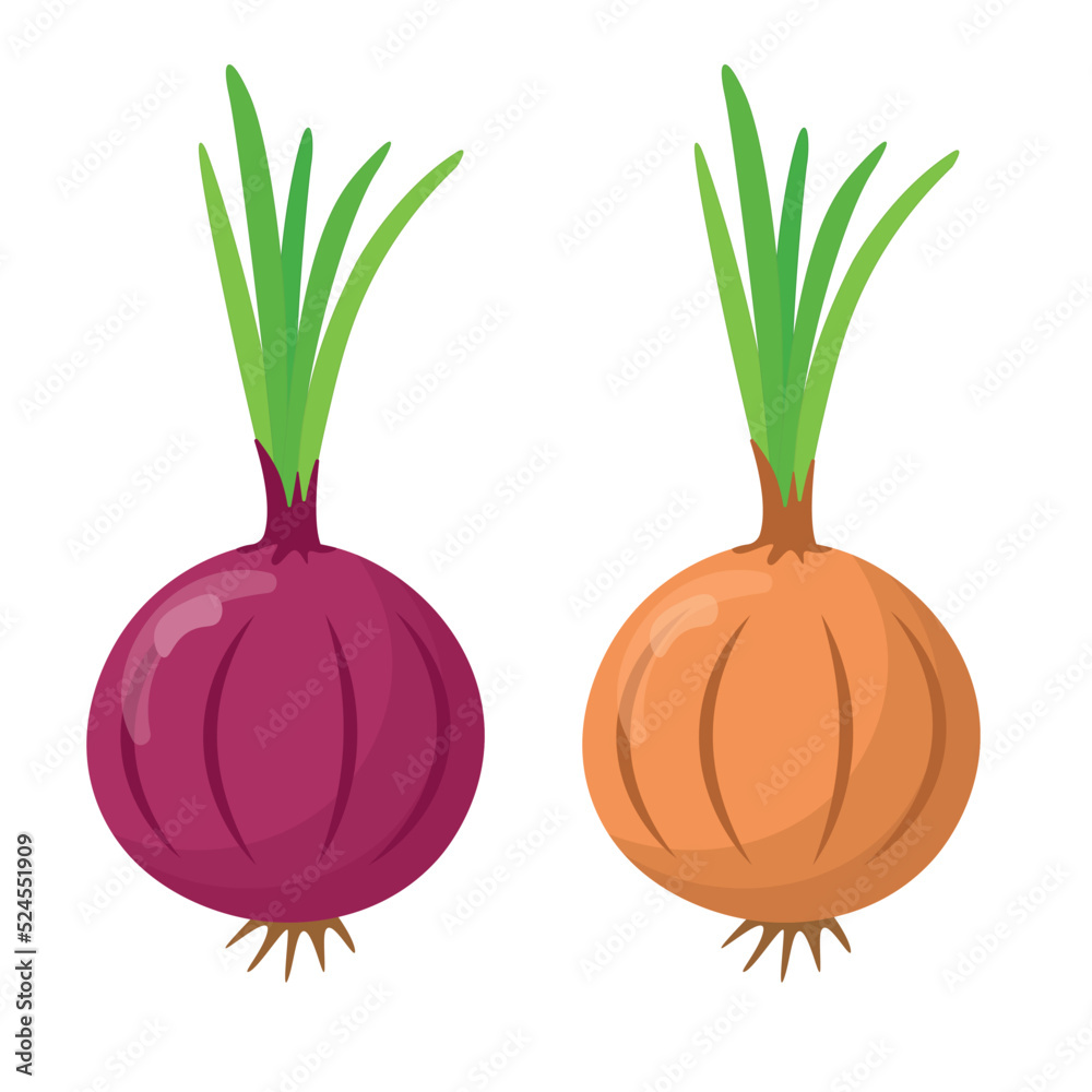 Red onion and onion isolated on white background. Difference between red onion and onion. flat style - obrazy, fototapety, plakaty 