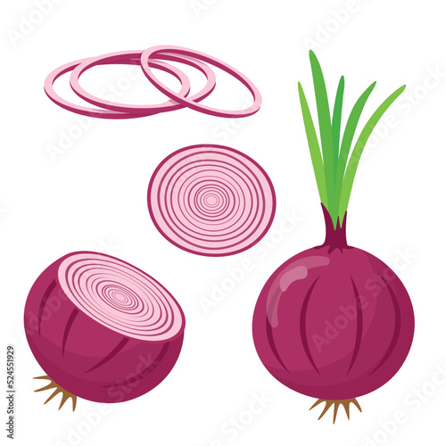 Red onion cut and whole isolated on white background, flat style