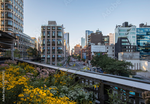 High Line views with flowers in foreground photo