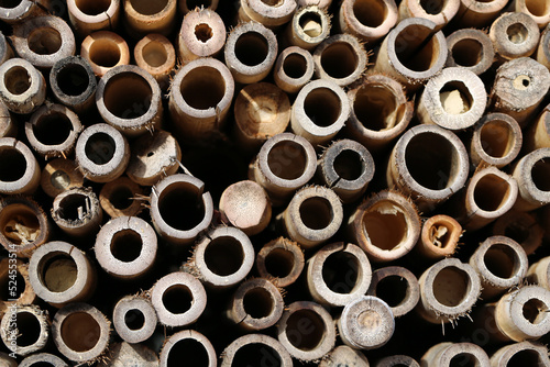 Texture of ends of brown bamboo sticks. Close up color image. Interesting pattern, perfect as a background photo. 