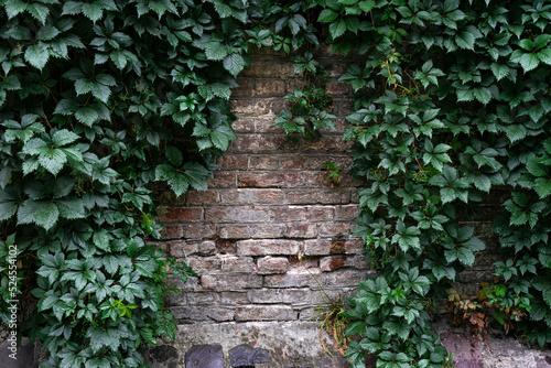 Fototapeta Naklejka Na Ścianę i Meble -  Old gray brick wall with deep cracks.