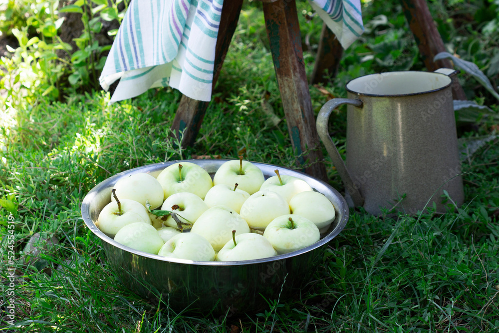 A basin with water and apples on the background of a summer garden.