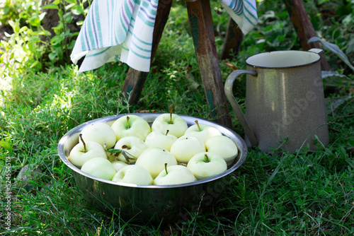 A basin with water and apples on the background of a summer garden.