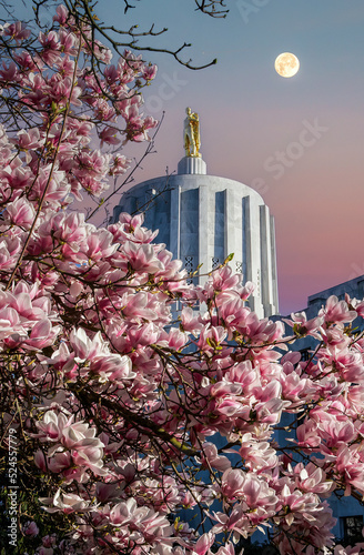 Oregon State Capitol building and tulip tree blossoms  in Salem photo