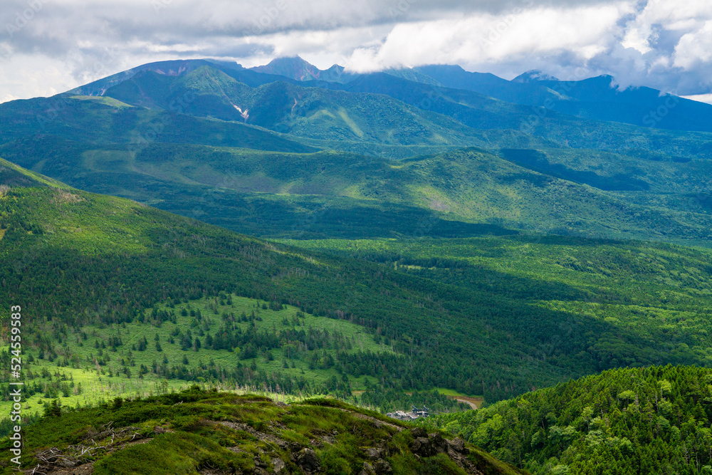 Naklejka premium 風景、山、八ヶ岳、長野県、絶景、自然、景色、景観、青空、快晴、景勝地、信州、関東甲信越、関東甲信、旅行、旅、背景、素材、画像、風景写真、写真、夏、夏山、真夏、季節、南峰、季節感、爽快感、開放的、登山、ハイキング、トレッキング、茅野市、高原、山岳、北横岳、南八ヶ岳、山頂、甲信越、北八ヶ岳、アウトドア、緑、森、晴れ、屋外、眺望、登山道、雲、空、火山