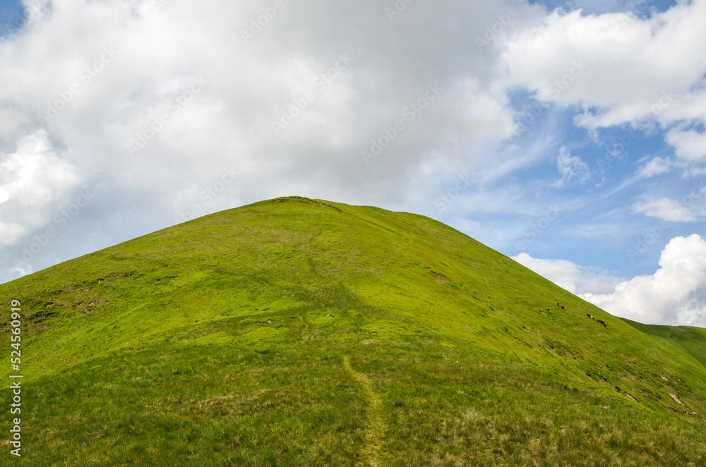 Lush green grass covered mountain peak and rolling slopes in summer time. Hiking and travel concept. Carpathian Mountains, Ukraine
Lush green grass covered mountain peak and rolling slopes in summer time. Hiking and travel concept. Carpathian Mountains, Ukraine
