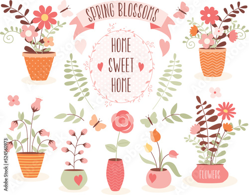 potted flowers, floral vases, spring