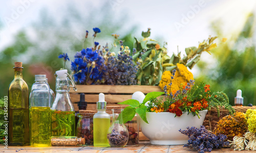 Medicinal herbs and natural tinctures. Selective focus.