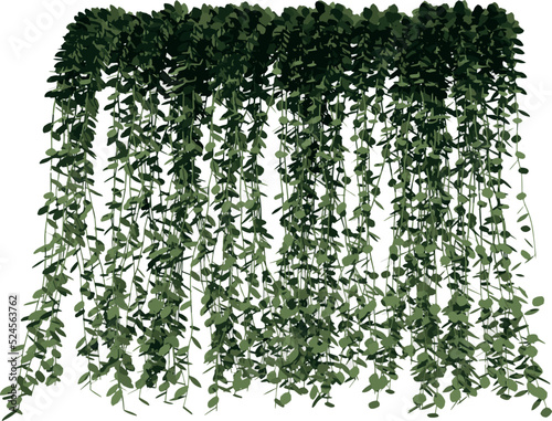 Front view of Plant (Vernonia elliptica creeper 1) Tree illustration vector
