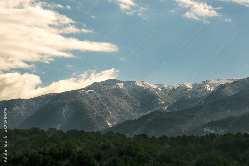 Landscape of Mount Ida with snow and some pine trees on the foreground.