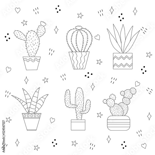 Set of different cactus in pots on doodle background, flat vector outline
