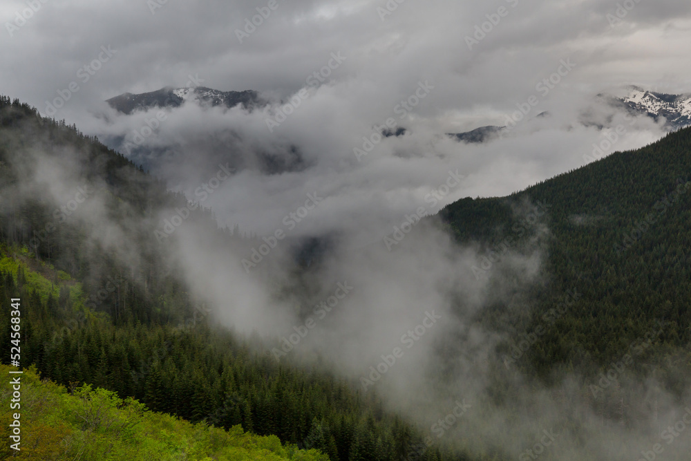 Fog in the mountains