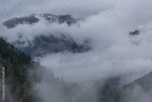 Fog in the mountains © Galyna Andrushko