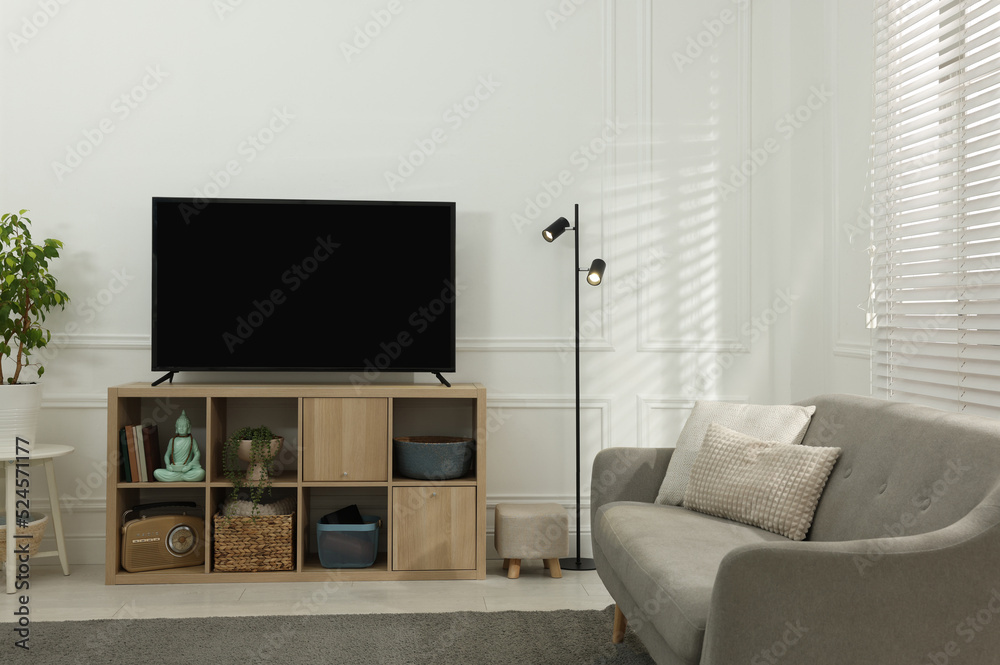 Modern TV on cabinet, sofa and beautiful houseplants indoors. Interior design Modern TV on cabinet, sofa and beautiful houseplants indoors. Interior design