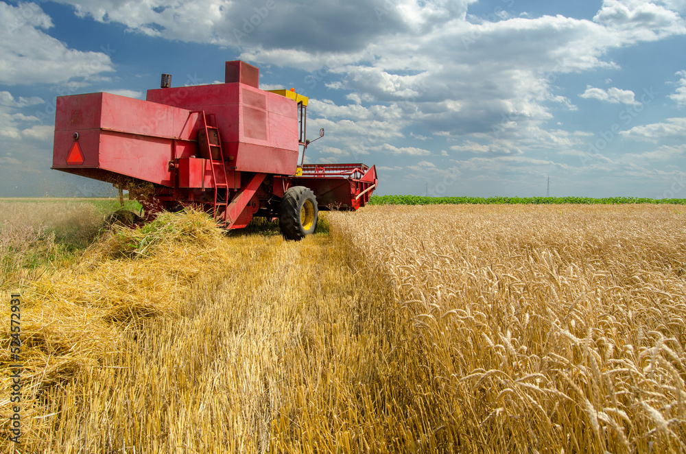 Combine harvester harvesting wheat in summer Combine harvester harvesting wheat in summer