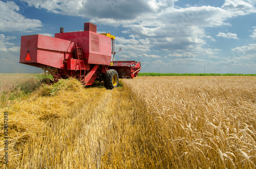 Combine harvester harvesting wheat in summer