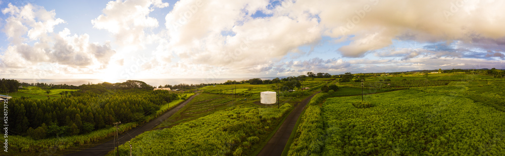 Obraz premium Hilo, Hawaii