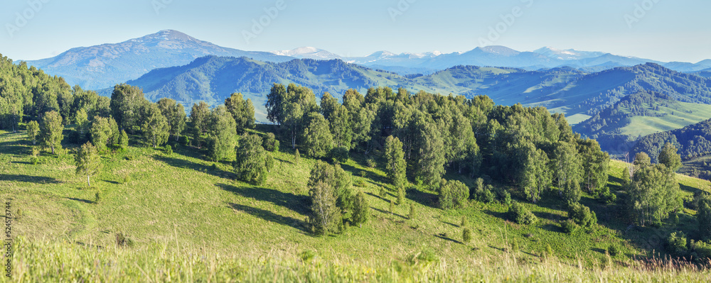 Panoramic mountain view, forest, meadows and snow-capped peaks