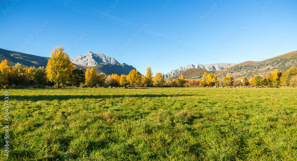 Autumnal landscape of green meadows groves and rocky mountains in the background. With small town hidden among the trees