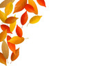 Autumn leaves background with copy space. Vector illustration of colorful fallen leaves.
